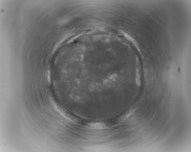 X0000052650067200507221852