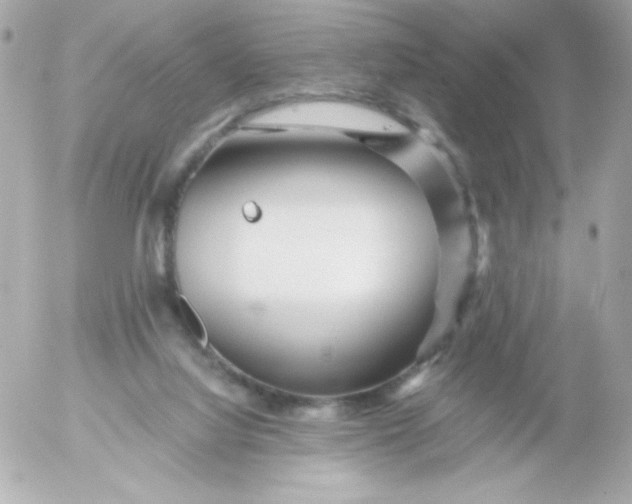 X0000052650068200507221852