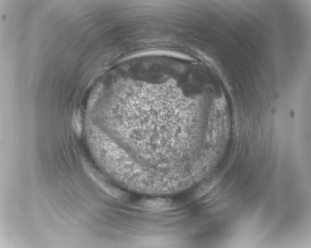 X0000052650069200507221852