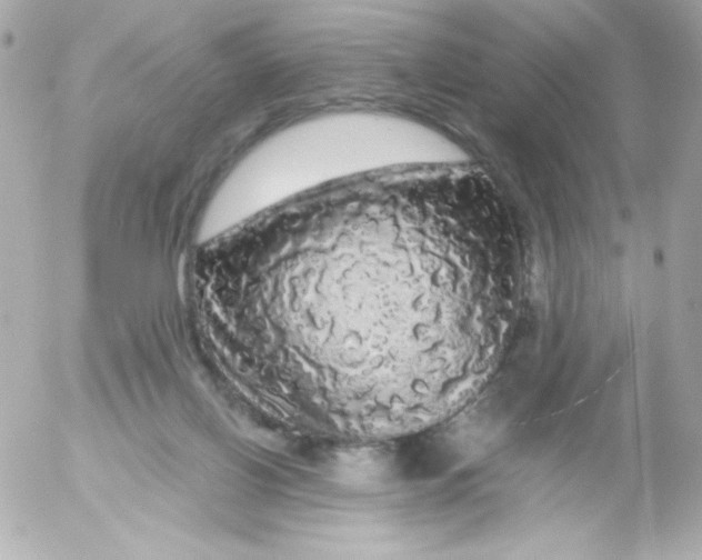 X0000052650070200507221852