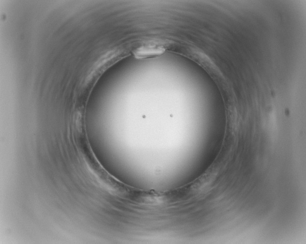 X0000052650071200507221852