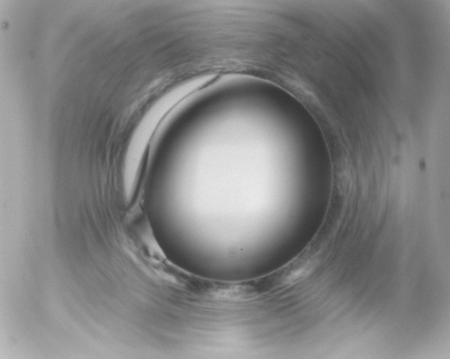 X0000052650072200507221852