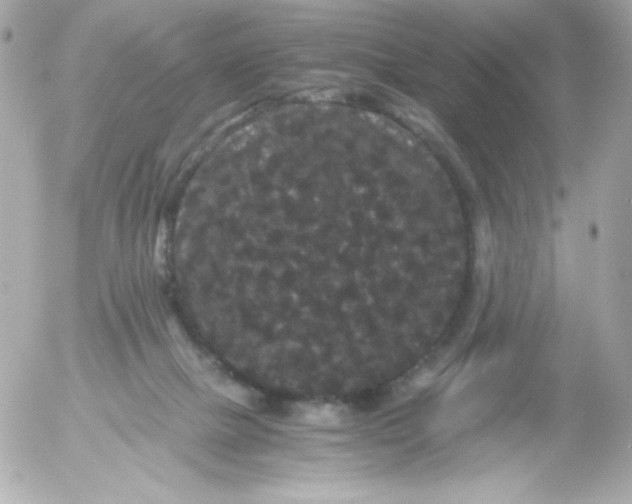 X0000052650073200507221852