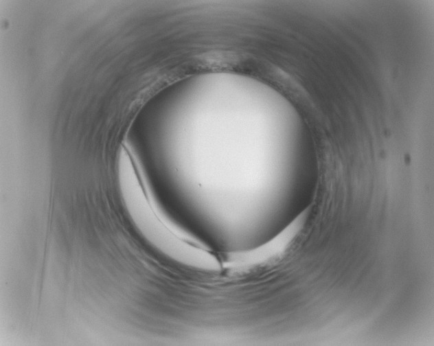 X0000052650075200507221852