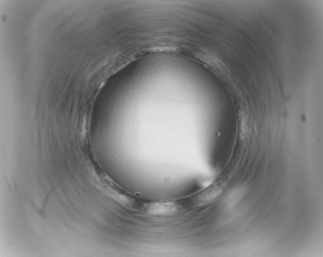 X0000052650077200507221852