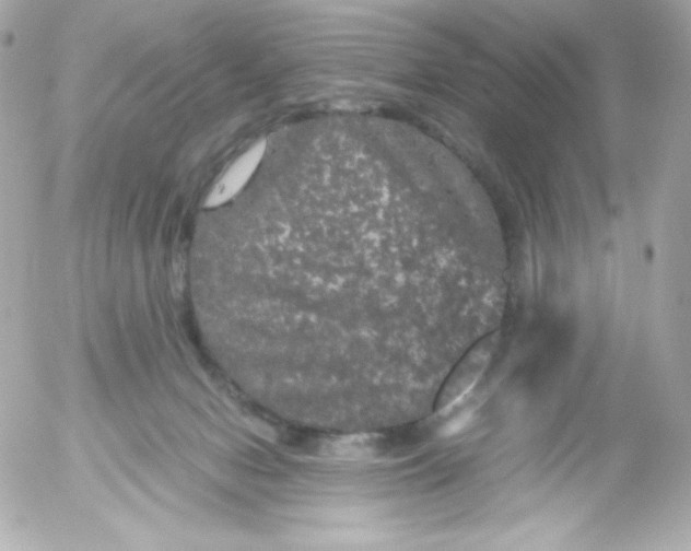 X0000052650078200507221852