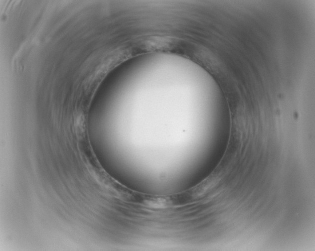 X0000052650079200507221852