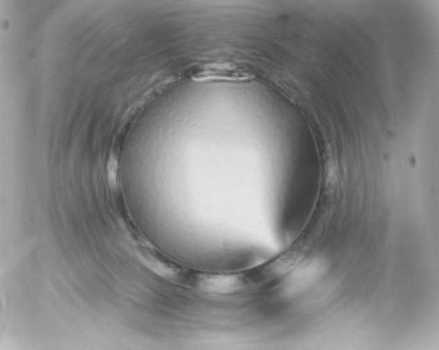 X0000052650081200507221852