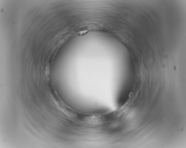 X0000052650082200507221852