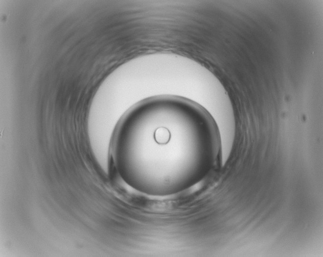 X0000052650084200507221852