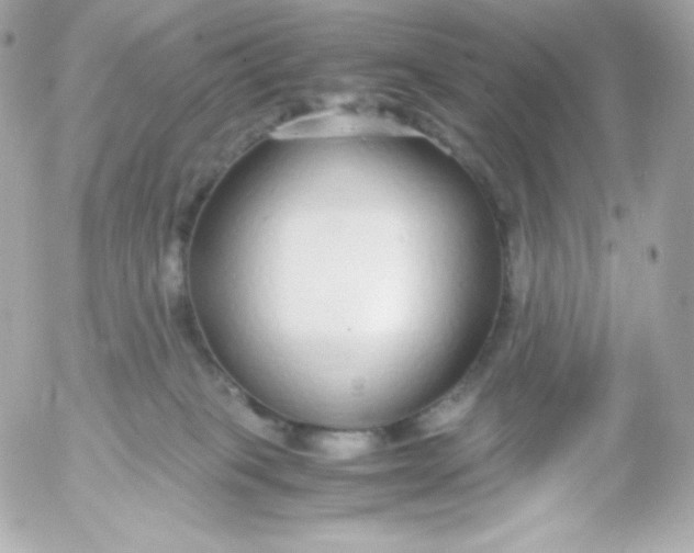 X0000052650085200507221852