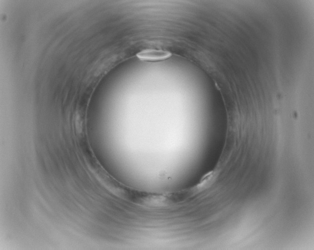 X0000052650086200507221852