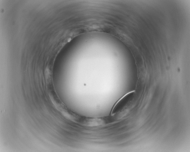 X0000052650087200507221852