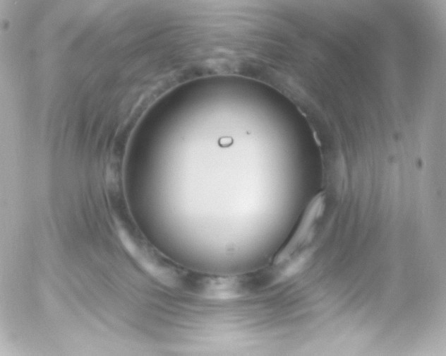 X0000052650088200507221852