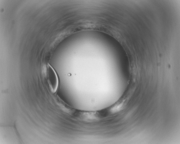 X0000052650089200507221852