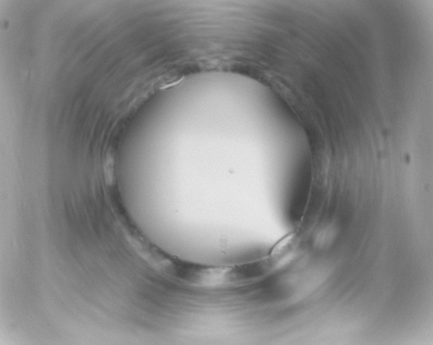 X0000052650090200507221852