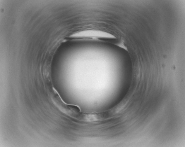 X0000052650091200507221852