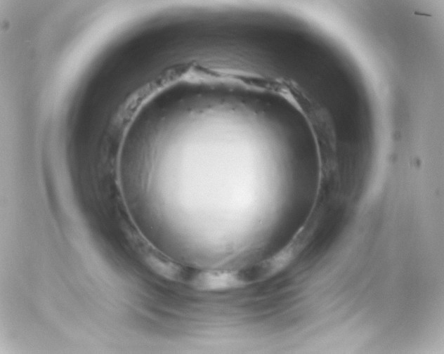 X0000052650093200507221852