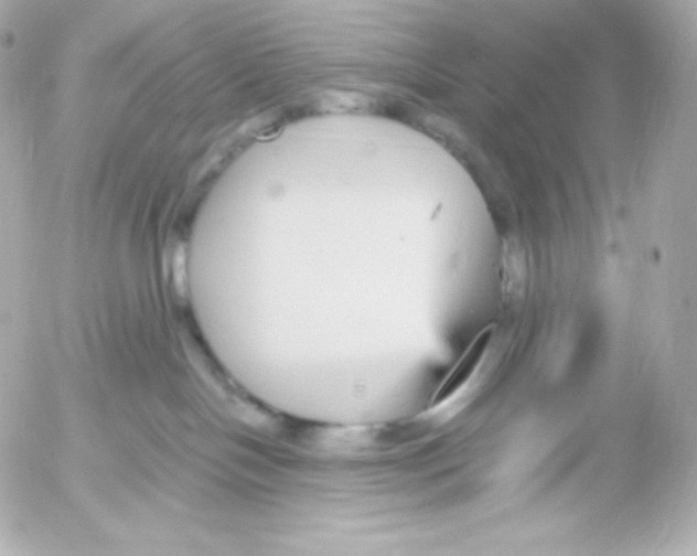 X0000052650094200507221852