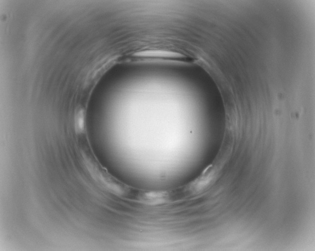 X0000052650095200507221852