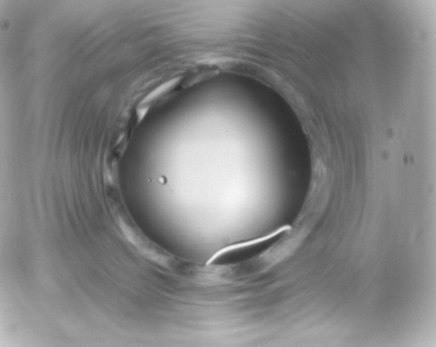 X0000052650096200507221852