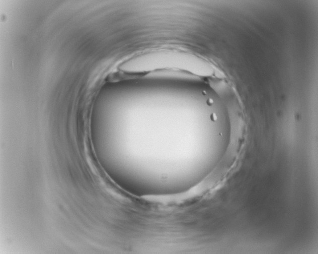 X0000052650097200507221852