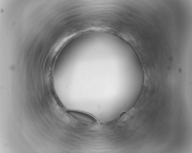 X0000052650098200507221852