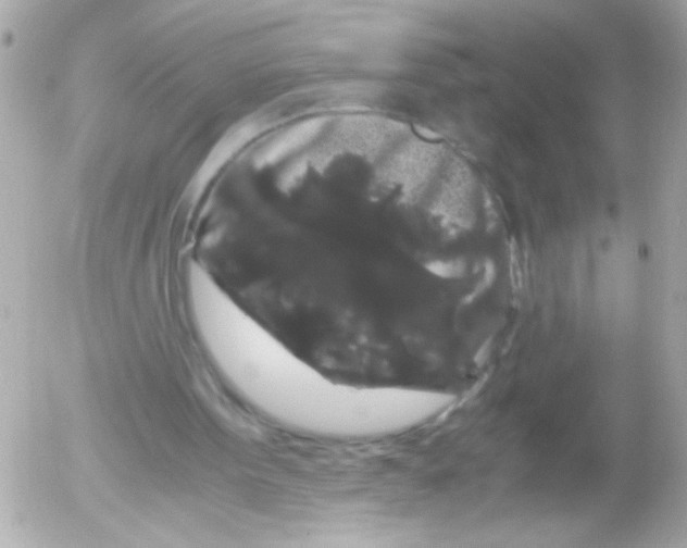 X0000052650099200507221852