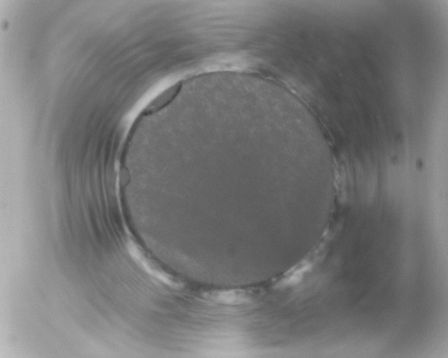 X0000052650100200507221852