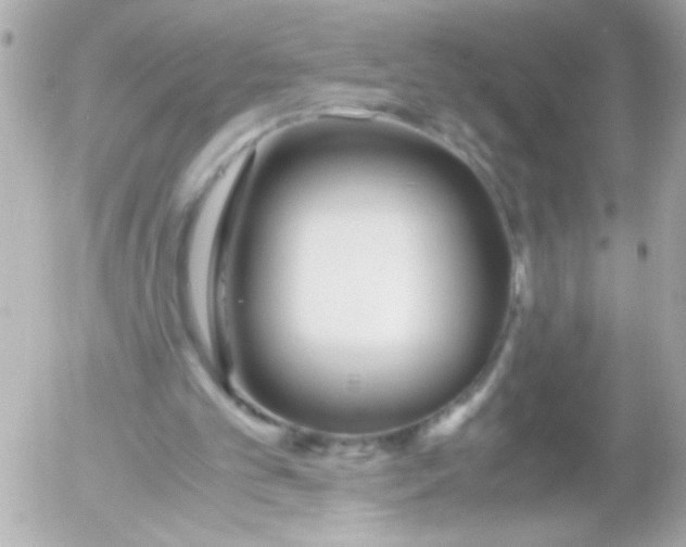 X0000052650101200507221851