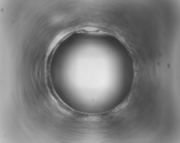 X0000052650102200507221851