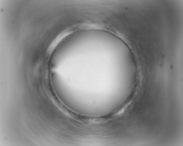 X0000052650103200507221851