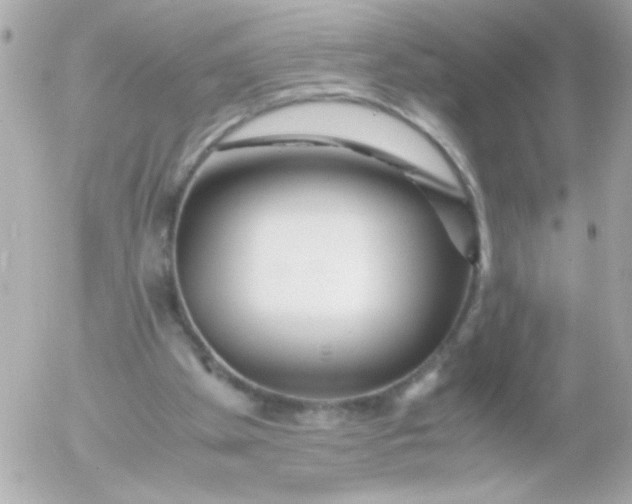 X0000052650105200507221851