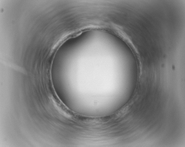 X0000052650106200507221851