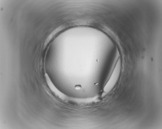 X0000052650107200507221851