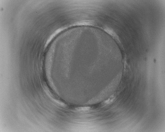 X0000052650108200507221851