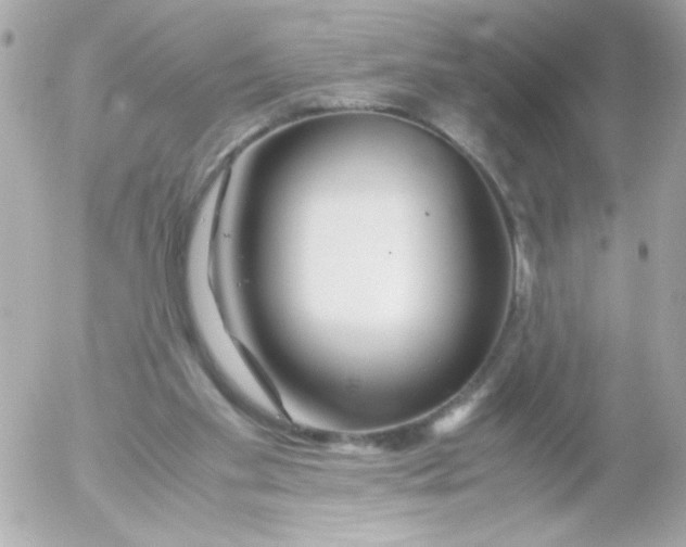 X0000052650109200507221851