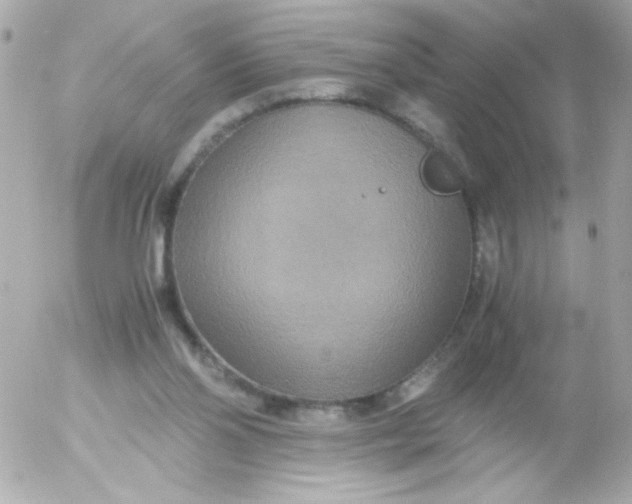 X0000052650110200507221851