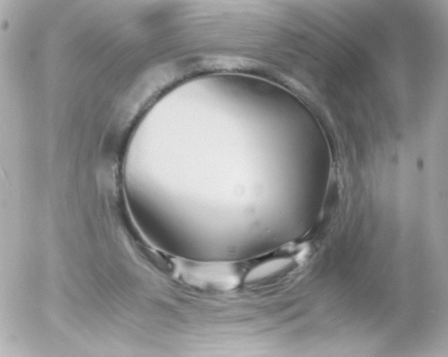 X0000052650111200507221851