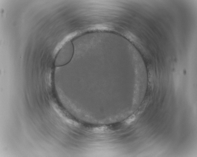 X0000052650112200507221851