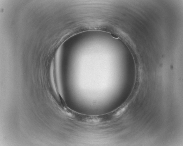 X0000052650113200507221851