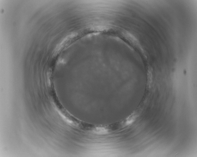 X0000052650114200507221851