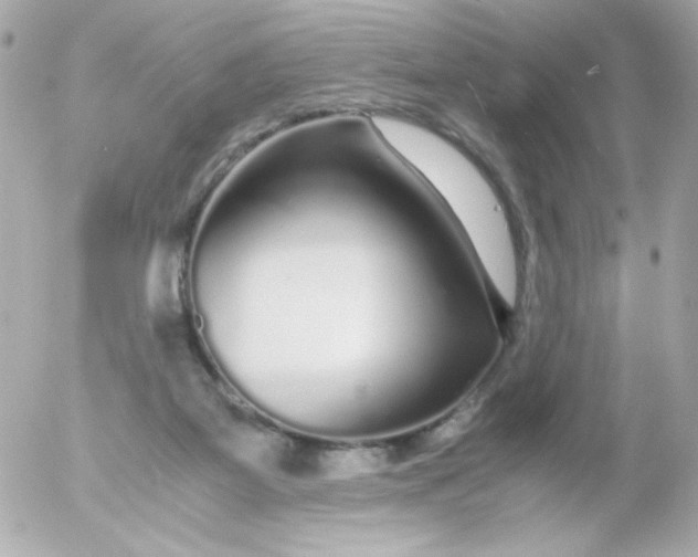 X0000052650115200507221851