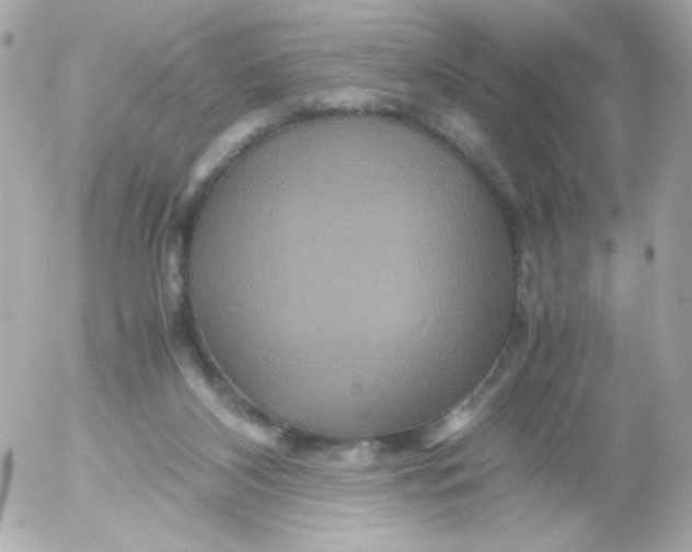 X0000052650116200507221851