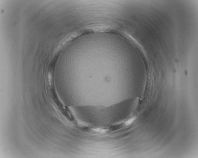 X0000052650117200507221851