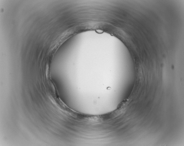 X0000052650118200507221851