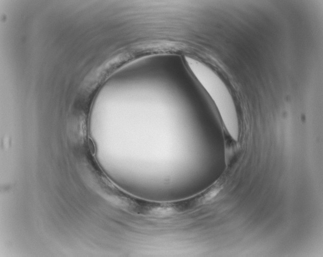 X0000052650119200507221851