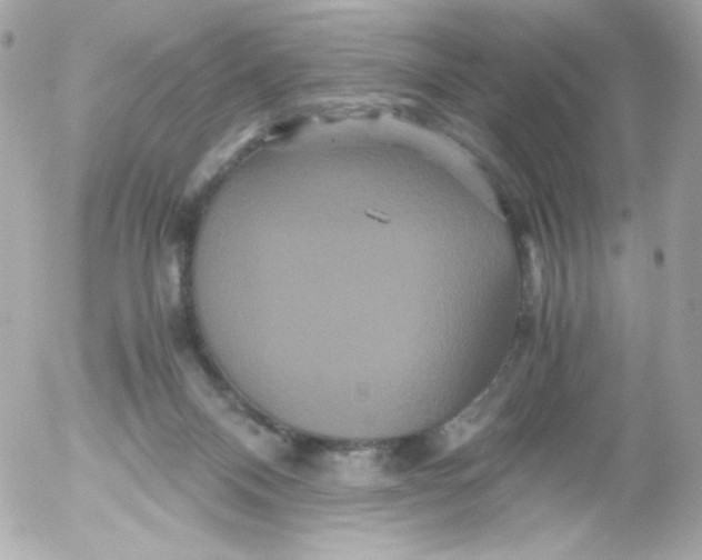 X0000052650120200507221851