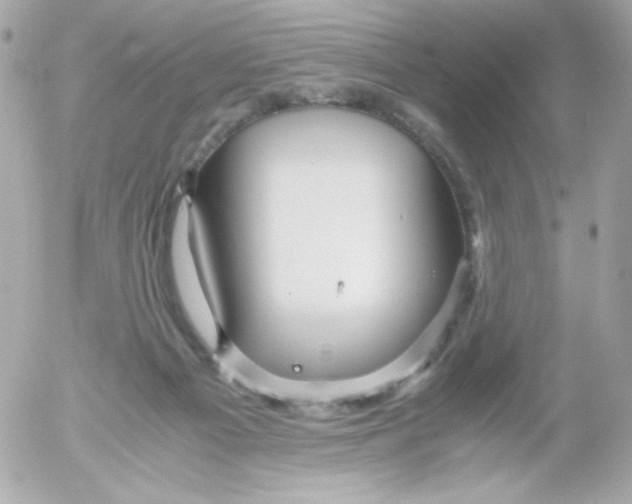 X0000052650121200507221851