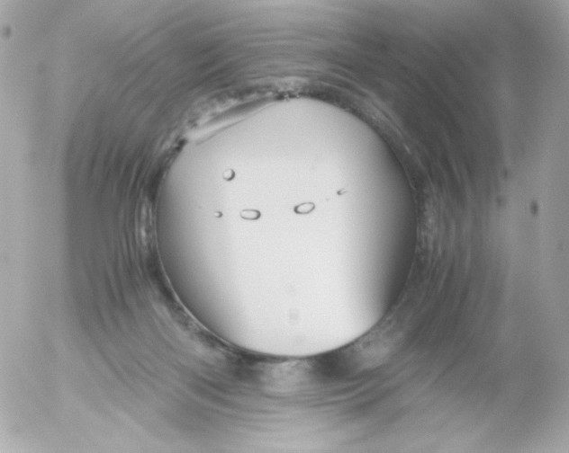 X0000052650122200507221851